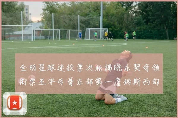 全明星球迷投票次轮揭晓东契奇领衔票王字母哥东部第一詹姆斯西部第八