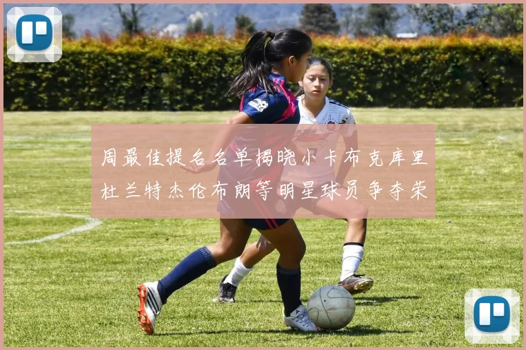 周最佳提名名单揭晓小卡布克库里杜兰特杰伦布朗等明星球员争夺荣誉
